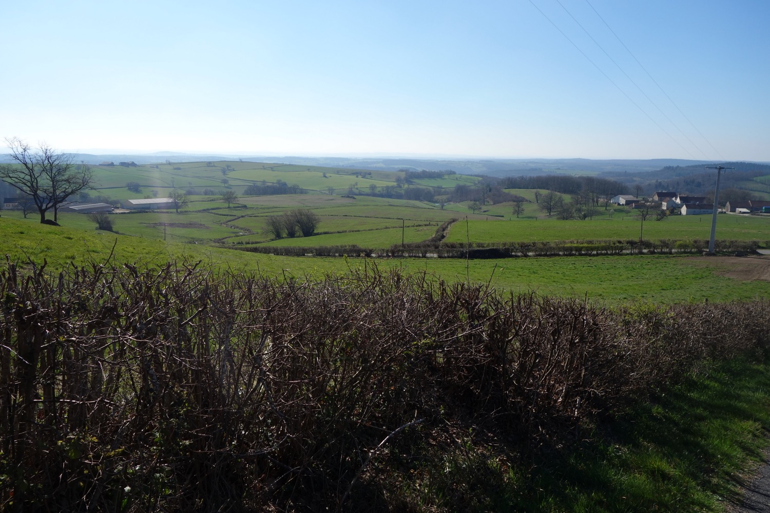 DSC00960
